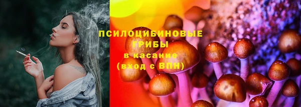 дурь Володарск