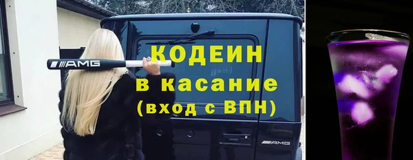 крисы Верхний Тагил