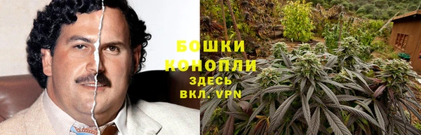 крисы Верхний Тагил