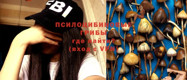 дурь Володарск