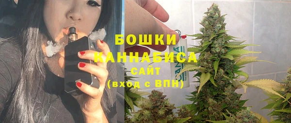 крисы Верхний Тагил